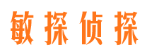 丰宁侦探公司